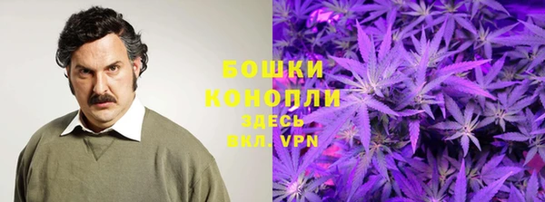 шишки Балабаново